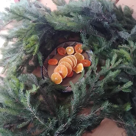 гірська яфина * Myta